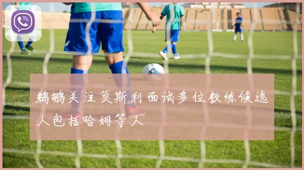 鹈鹕关注莫斯利面试多位教练候选人包括哈姆等人